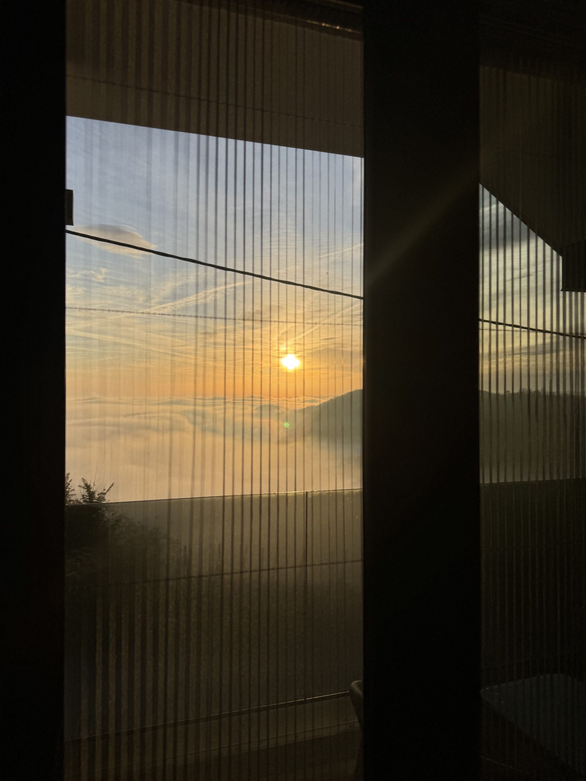 Privacy — Villa Iva
