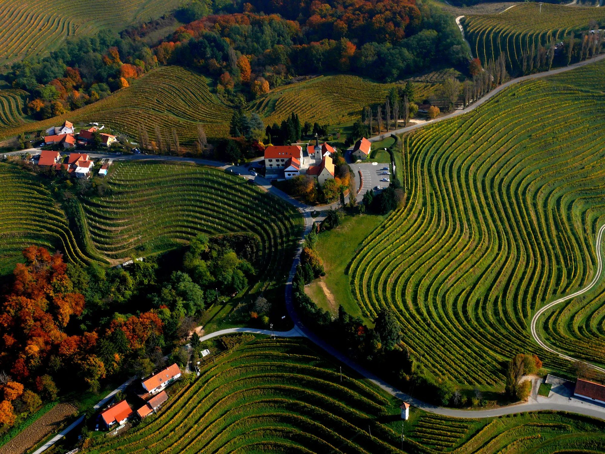 Vineyards & wineries